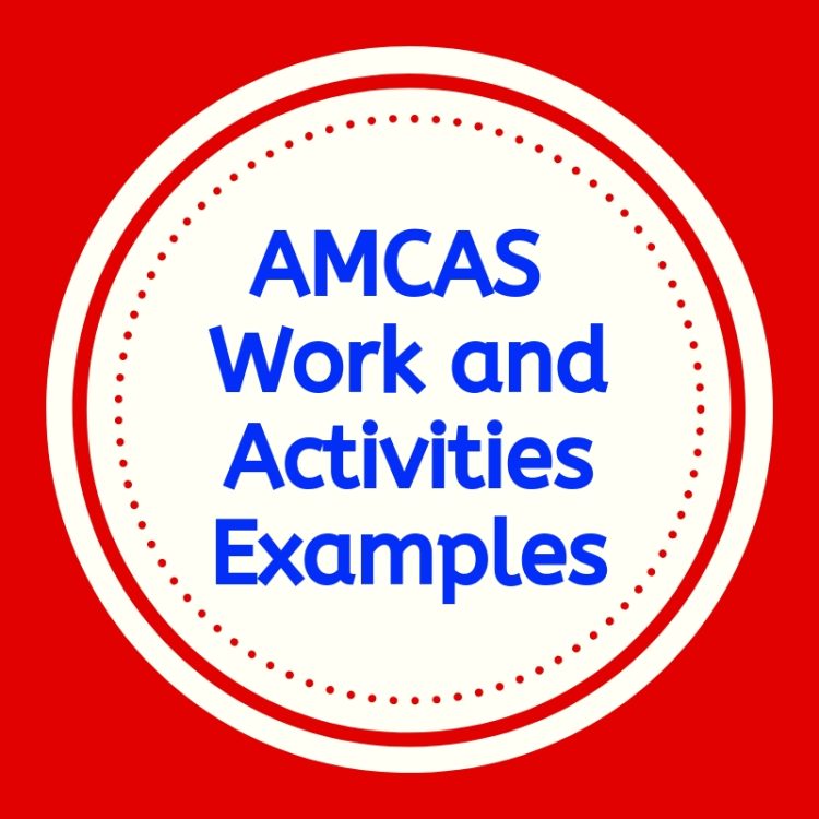 AMCAS Work and Activities Example