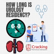 How Long is Urology Residency - Cracking Med School Admissions