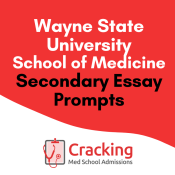 Wayne State Secondary Prompts